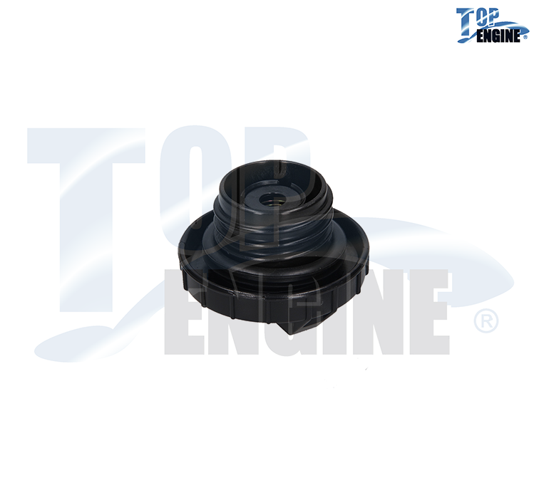Imagen de 17251-01A00 TAPON GASOLINA NISSAN TSURU 1.6L L4 84-17 (PLASTICO CON LLAVE UNIVERSAL)
